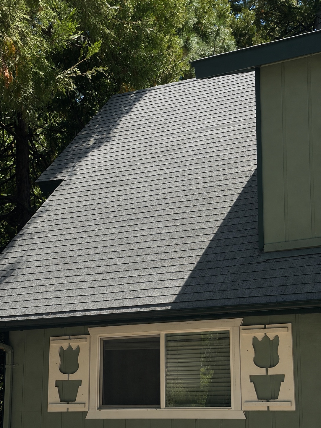Roofing & Roof Care project photo 1