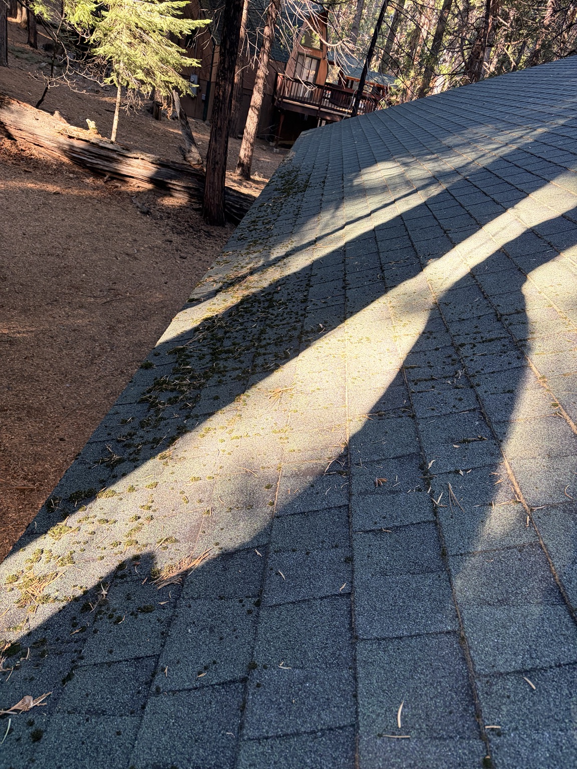 Roofing & Roof Care project photo 4