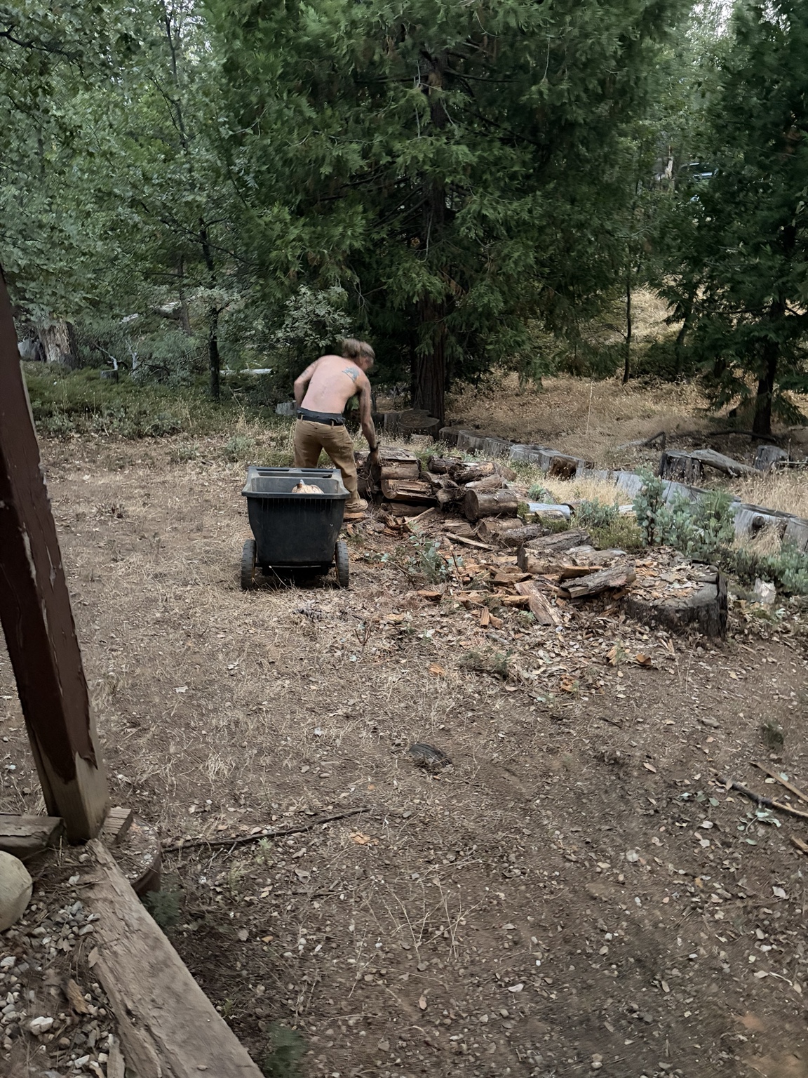 Property Cleanup & Lot Work project photo 28