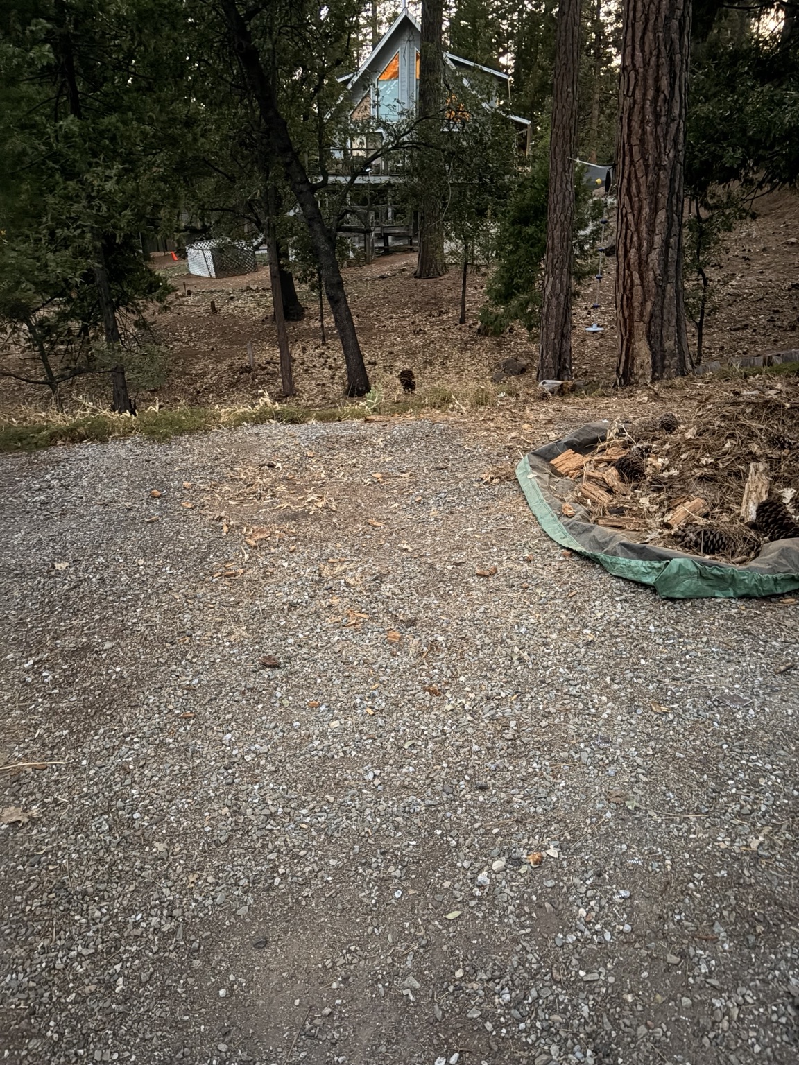 Property Cleanup & Lot Work project photo 30