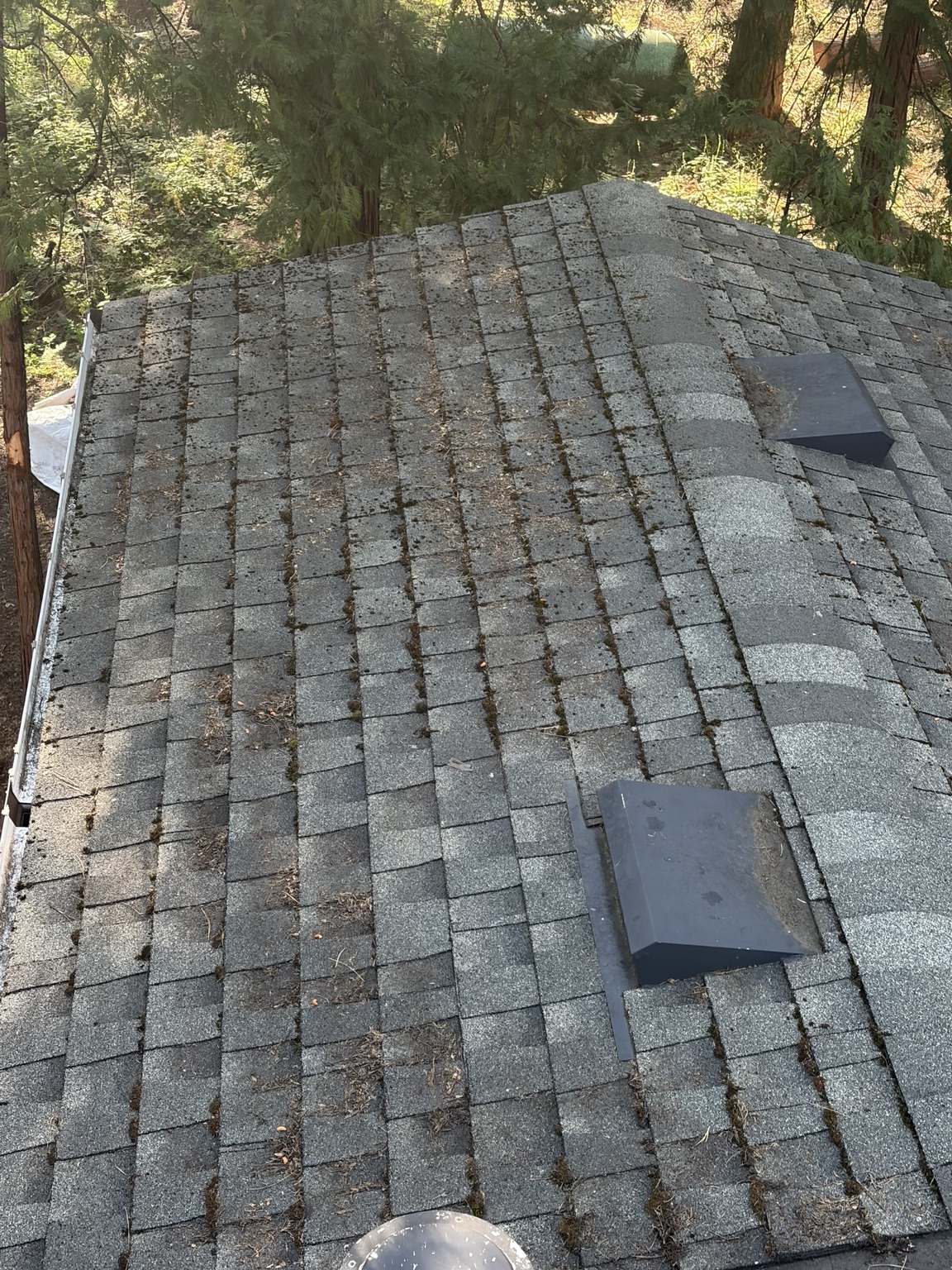 Roofing & Roof Care project photo 6