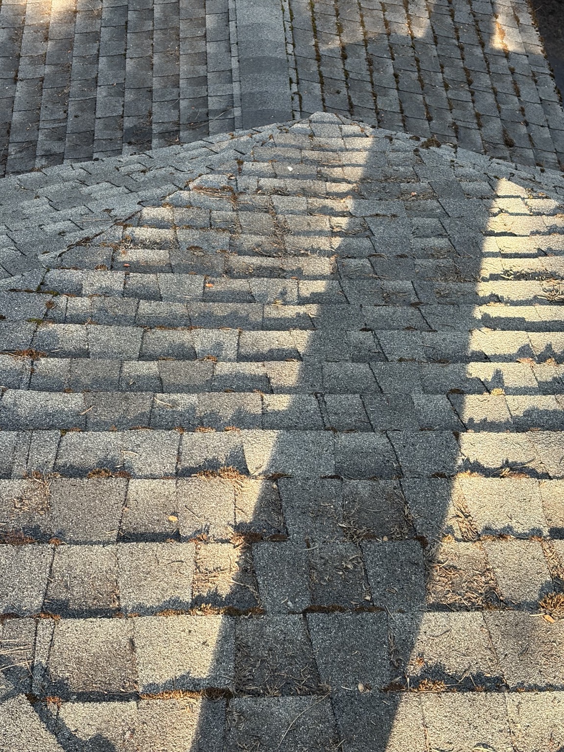 Roofing & Roof Care project photo 8