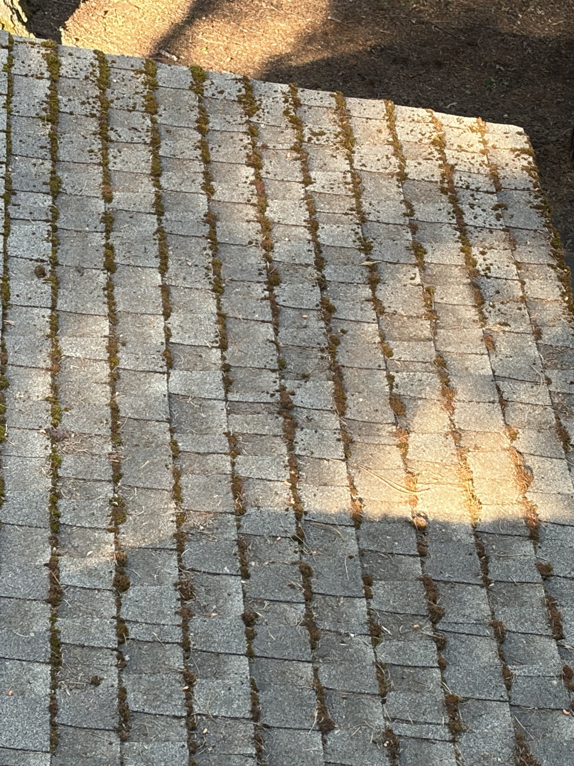 Roofing & Roof Care project photo 9